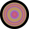 Focus to Center Spare Tire Cover
