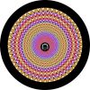 Focus to Center Spare Tire Cover