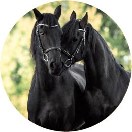 Black Stallion Horses Tire Cover