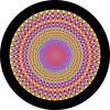 Focus to Center Spare Tire Cover