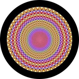 Focus to Center Spare Tire Cover