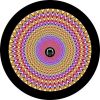 Focus to Center Spare Tire Cover