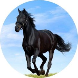 Black Horse Running Tire Cover