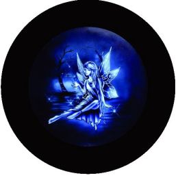 Night Fairy Spare Tire Cover