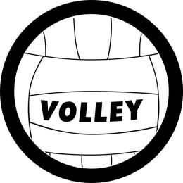 Volley Ball Spare Tire Cover