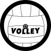 Volley Ball Spare Tire Cover
