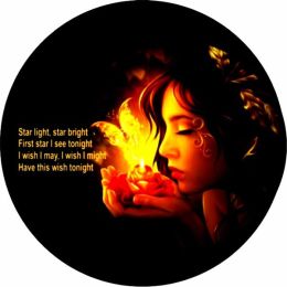 Star Light, Star Bright Tire Cover on Black