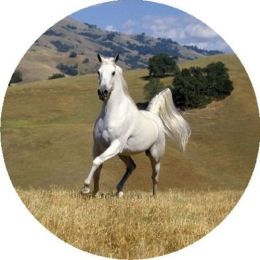 Horse Print #5 Spare Tire Cover