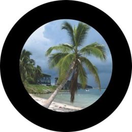 South Florida Palm Spare Tire Cover on Black Vinyl