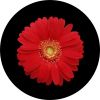 Red Sun Flower Spare Tire Cover