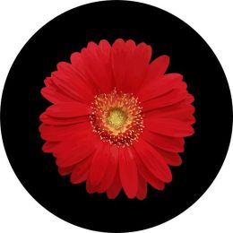 Red Sun Flower Spare Tire Cover